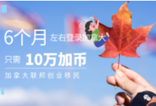 加拿大联邦suv条件
